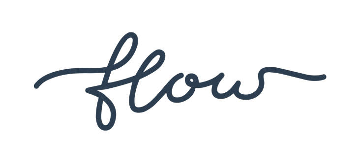 FlowStudio Logo